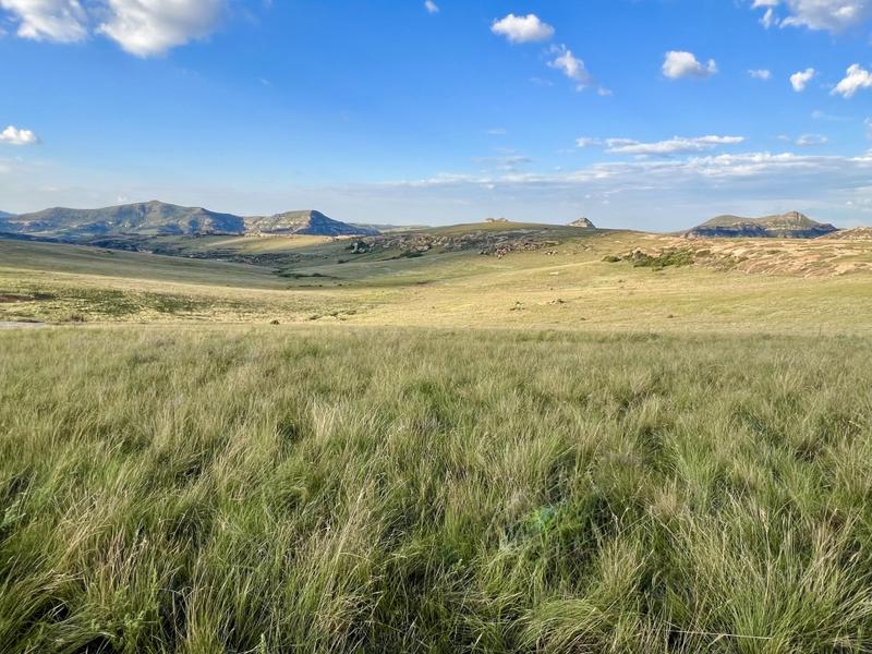 0 Bedroom Property for Sale in Fouriesburg Free State